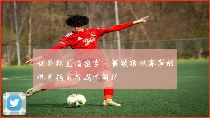 世界杯直播盛宴：解锁顶级赛事的观看指南与战术解析