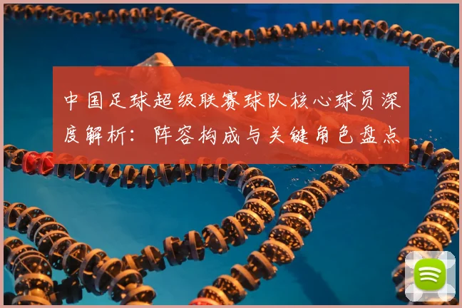 中国足球超级联赛球队核心球员深度解析：阵容构成与关键角色盘点