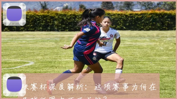 联赛杯深度解析:这项赛事为何在足球版图中不可或缺?